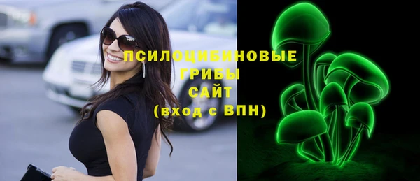бошки Каменногорск